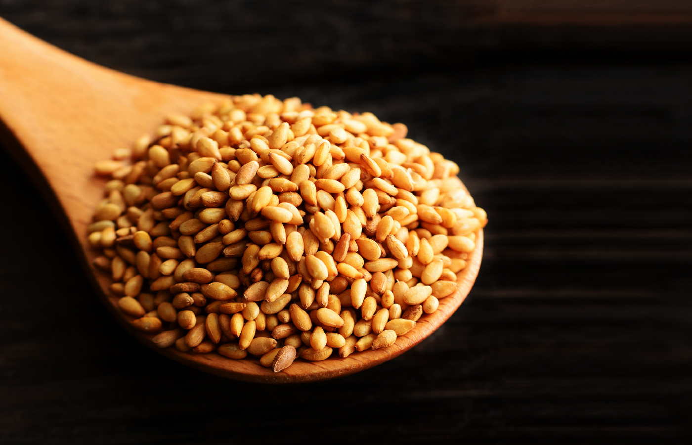 瀬戸内金ごま(胡麻)のHITOSAJIYA (ひとさじや)